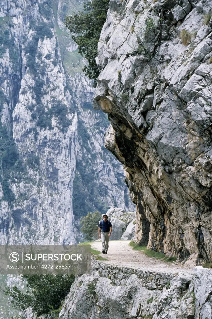 Trekker walks the trail through the Cares Gorge, one of the most popular walks in Spain.