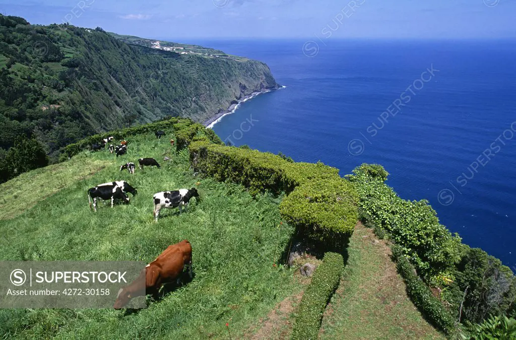 Clifftop view from Ponta da Madrugada on the island of Sao Miguel, Azores