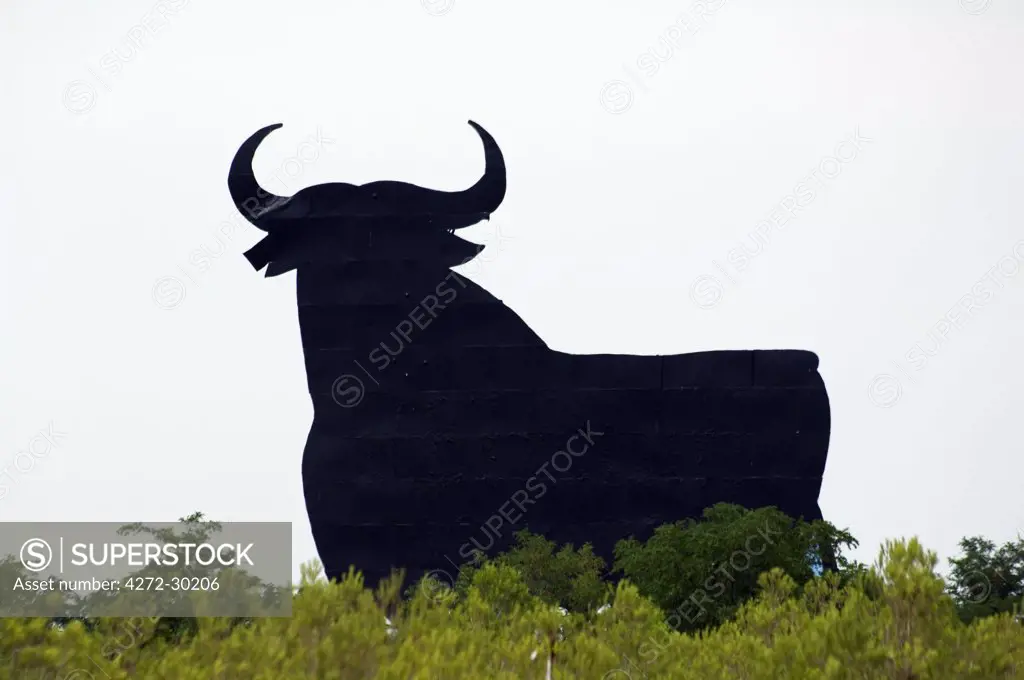 Silhouette of Model Bull
