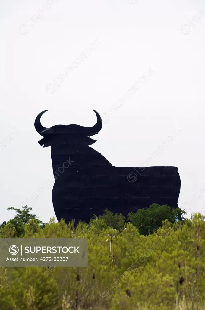 Silhouette of Model Bull
