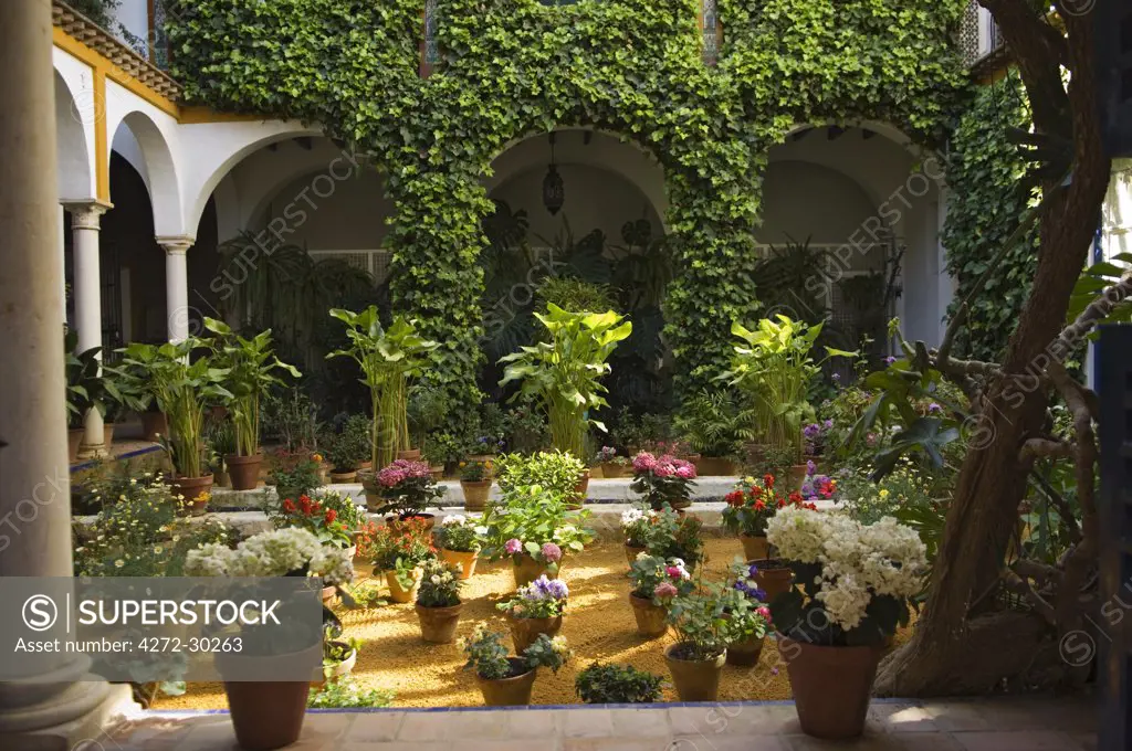 Carefully arrayed flower pots in the beautifully decorated courtyard of a house on Callejon del Agua, beside the Real Alcazar Palace, Seville, Spain