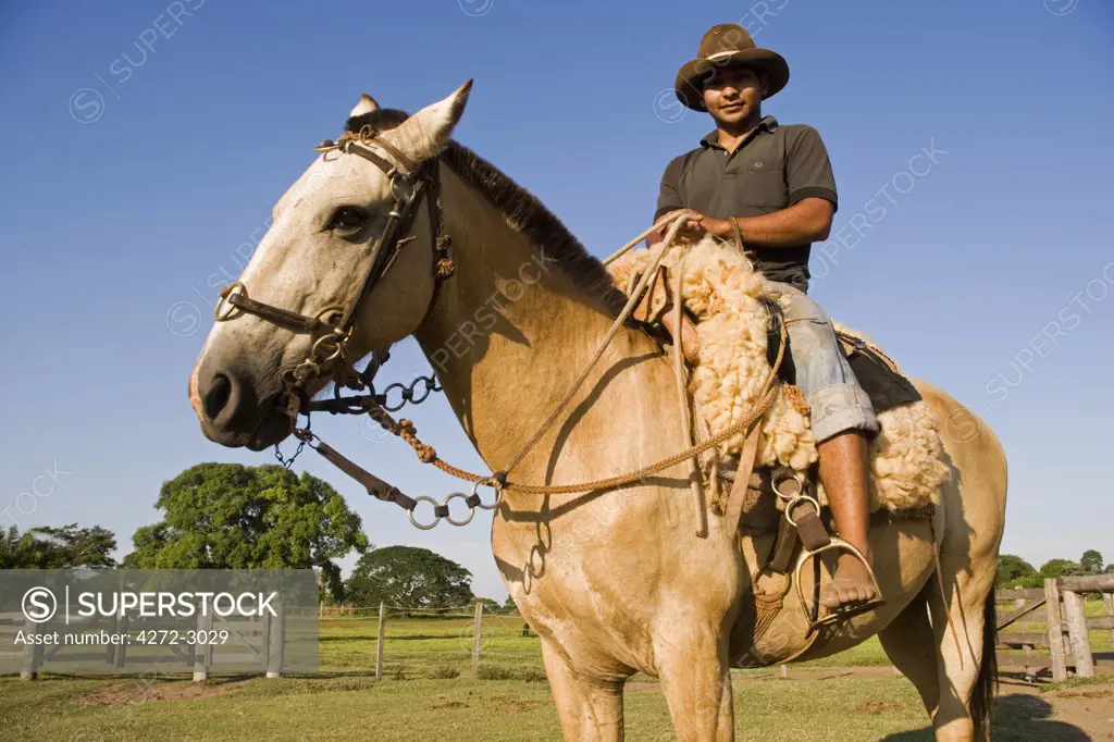 Young Pantanal cowboy astride horse on ranch area near Campo Grande, Pantanal adventure