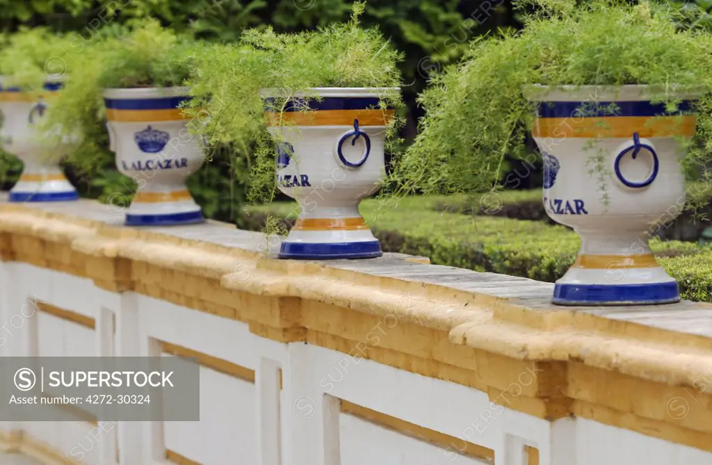 Spain, Andalucia, Seville. A line of painted ceramic flower pots in the garden of the Alcazar Palace.