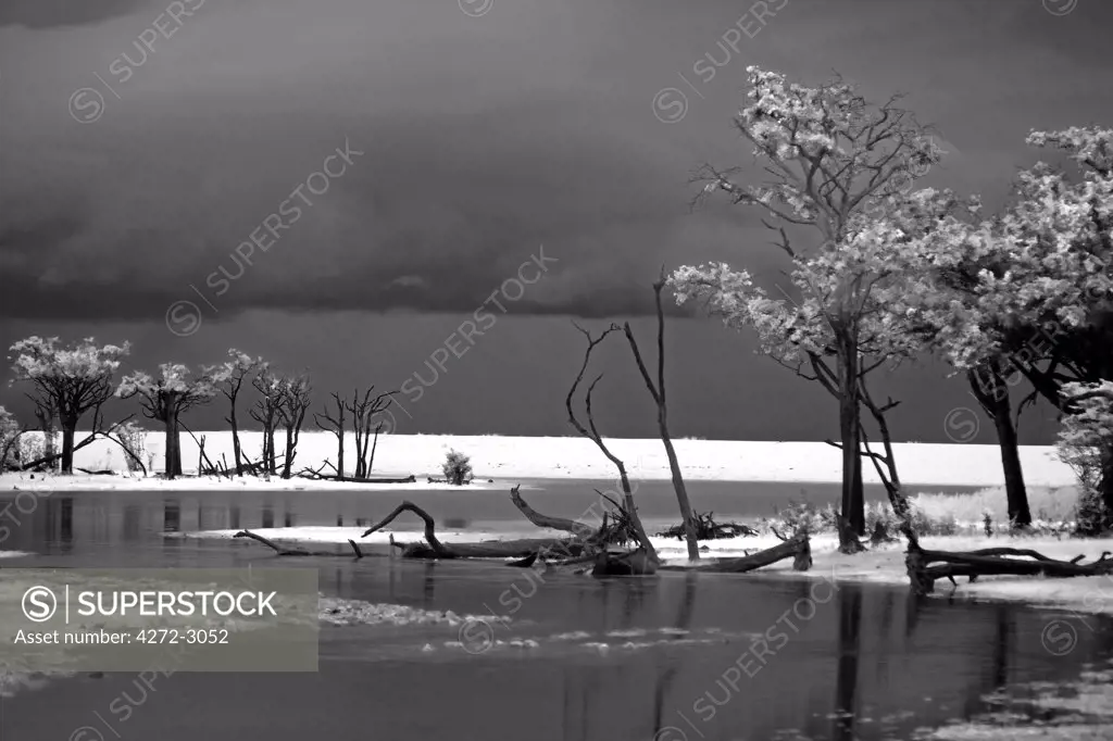 Dramatic stormy light over the banks of the Tapajos river, a tributary of the Amazon River in the Amazonas region of Brazil