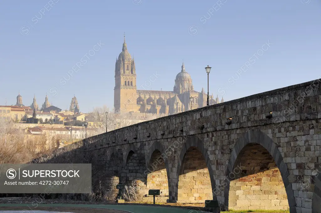 Salamanca's cathedral and roman bridge. Castilla y Leon, Spain