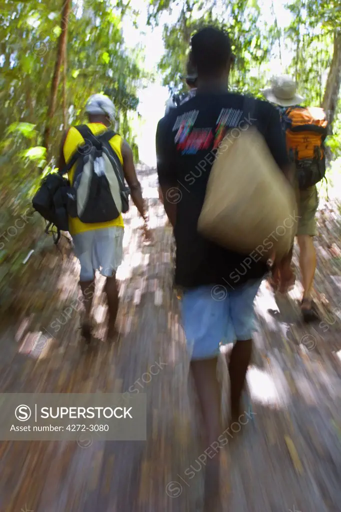 Walking through the rainforest in the Tinhare archipelago in the Bahia region, north east of Brazil