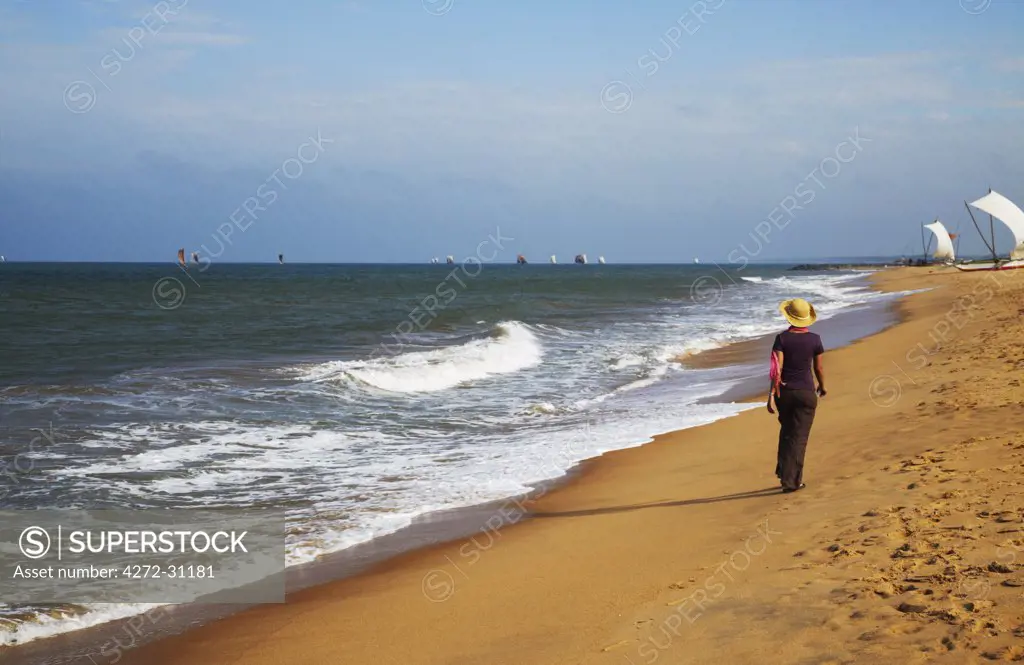 Woman walking on beach, Negombo, Sri Lanka (MR)