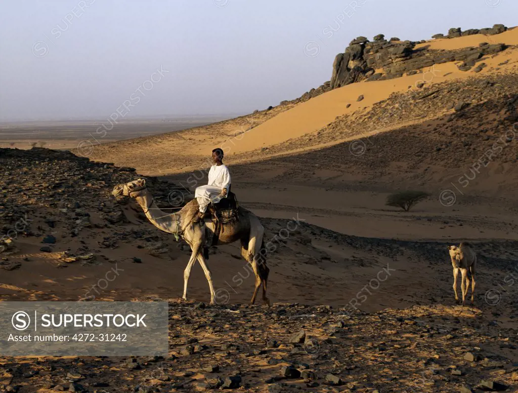 In late afternoon light, a camel rider crosses a desert near the ancient pyramids of Meroe, east of the Nile