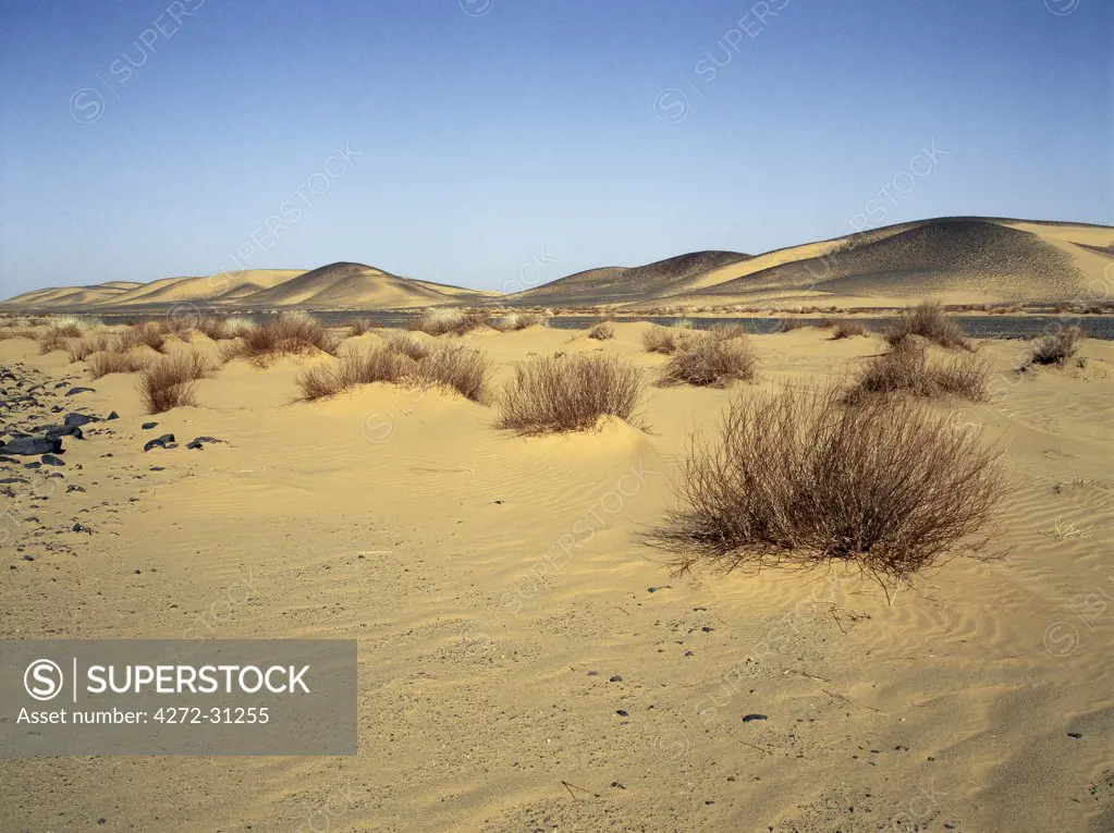 Lying at 500 metres above sea level, the Bayuda desert is one of the most easterly extensions of the Sahara.  It has a mainly gravel surface with sparse vegetation.