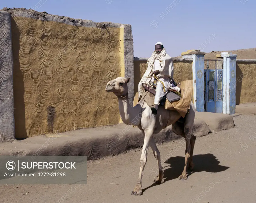 A Nubian man rides his camel down one of the main, dusty streets of Qubbat Selim. This village, situated close to the River Nile in Northern Sudan, still retains much of its traditional architecture, plasterwork and decoration. The curved, raised pattern on the walls is made with the serrated edge of a wood trowel or rake.