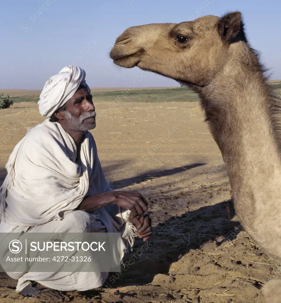 A Nubian man and his camel at an oasis in the Nubian Desert north of Old Dongola.