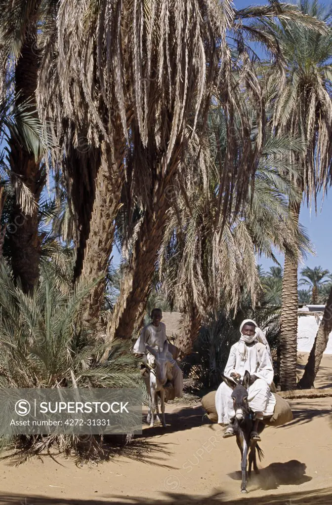 Youth on donkeys pass beneath date palms at Old Dongola
