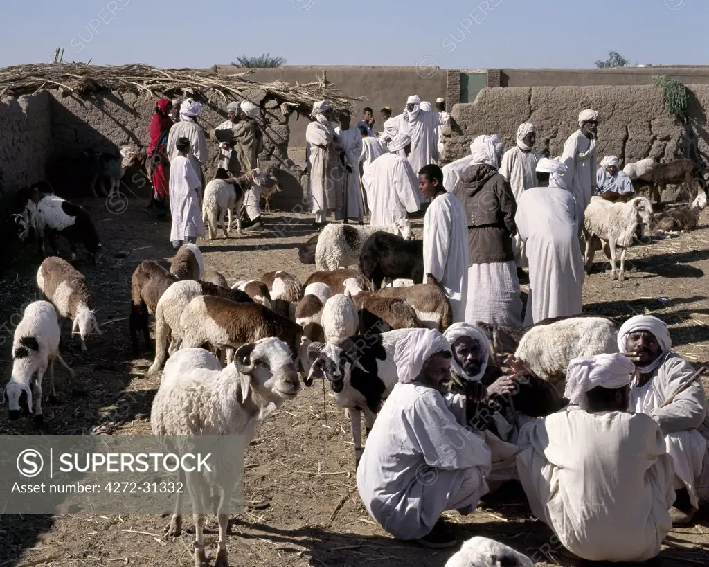Nubian men at a small livestock market at Ghaba, south of Old Dongola.