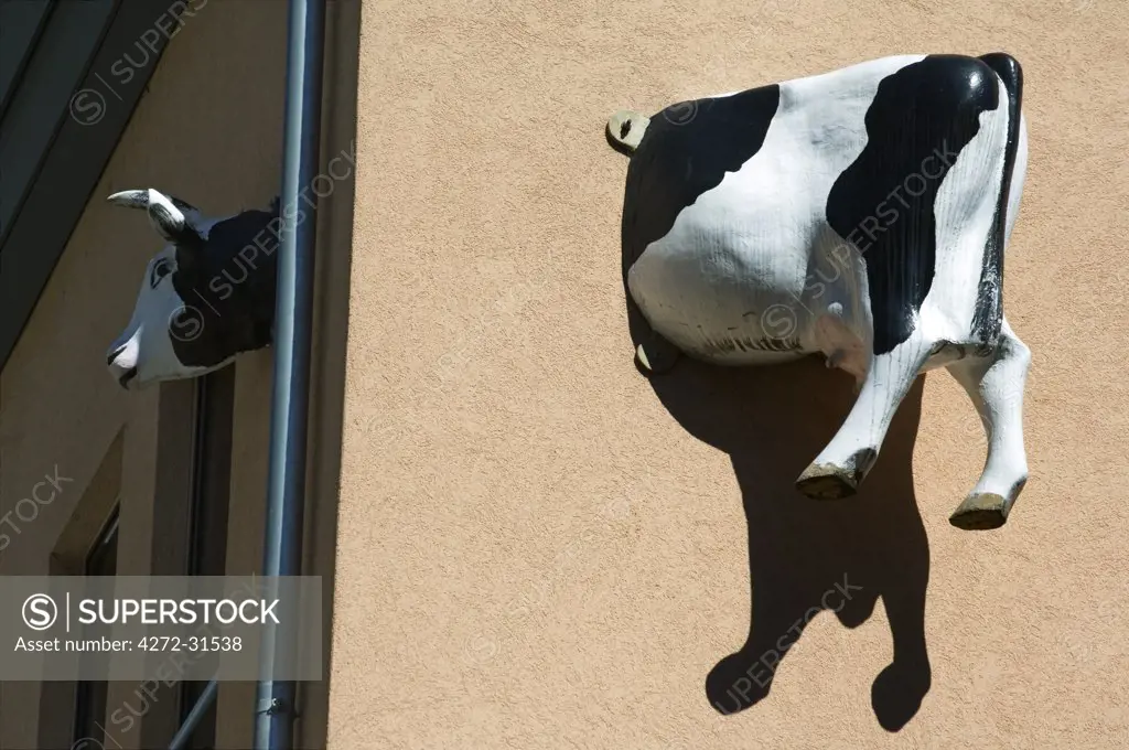 A Model Cow is made to look attached to a building, Interlaken, Jungfrau Region, Switzerland