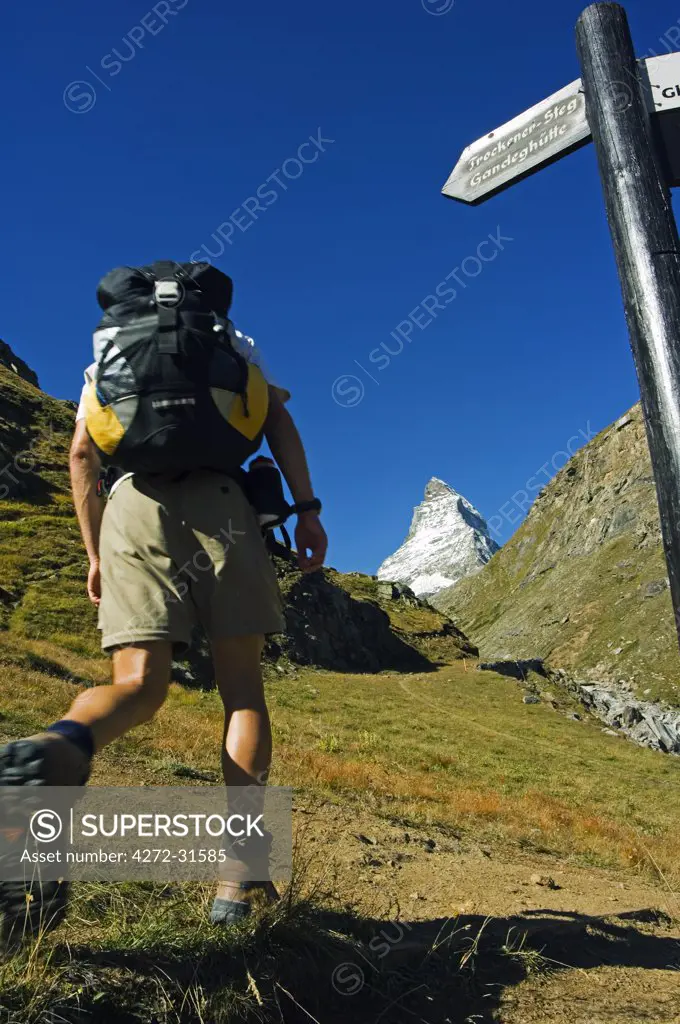 A Matterhorn (4477m) hiker at the trail junction, Zermatt, Valais, Switzerland