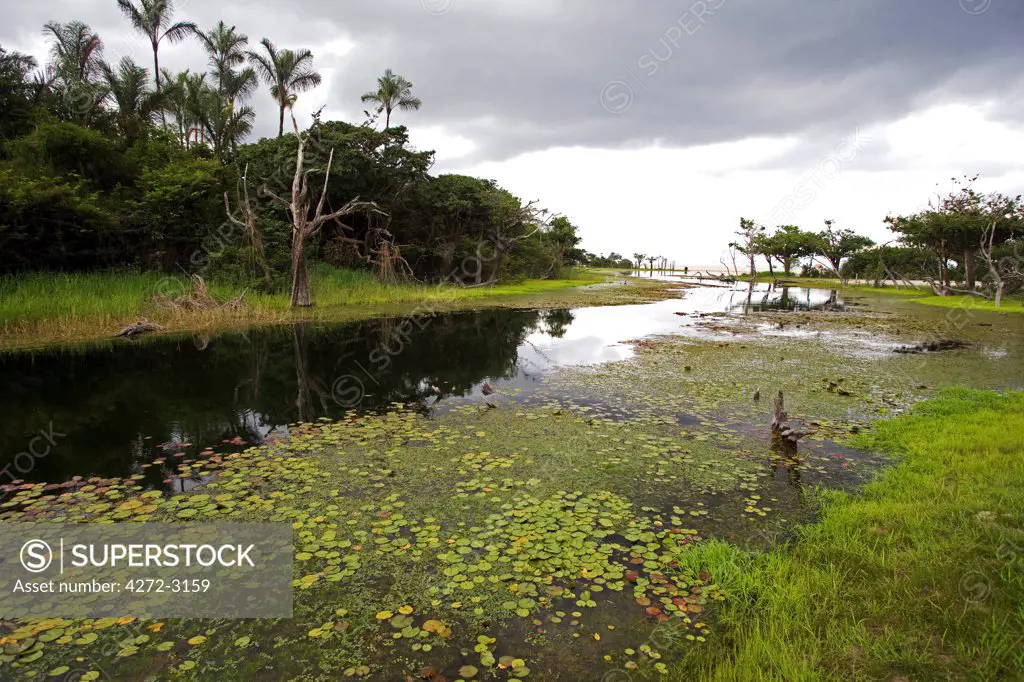 Brazil, Amazon, Rio Tapajos. A tributary of the Rio Tapajos which is itself a tributary of the Amazon, turns translucent under gathering rain clouds at the end of the dry season.