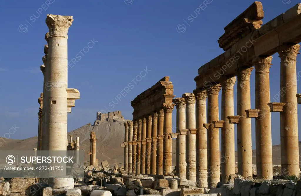 A 17th century Arab fortress looms betweeen the gap in the pillars of Palmyra's 'Great Colonnade', the desert city's main artery.