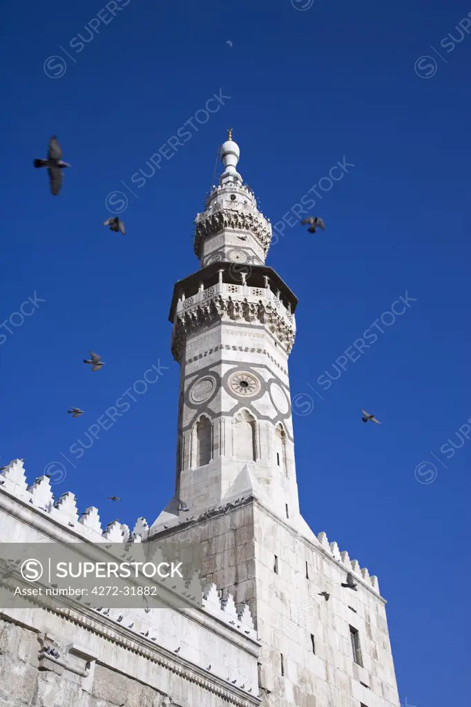 Pigeons flying over the Umayyad Mosque, Damascus, Syria