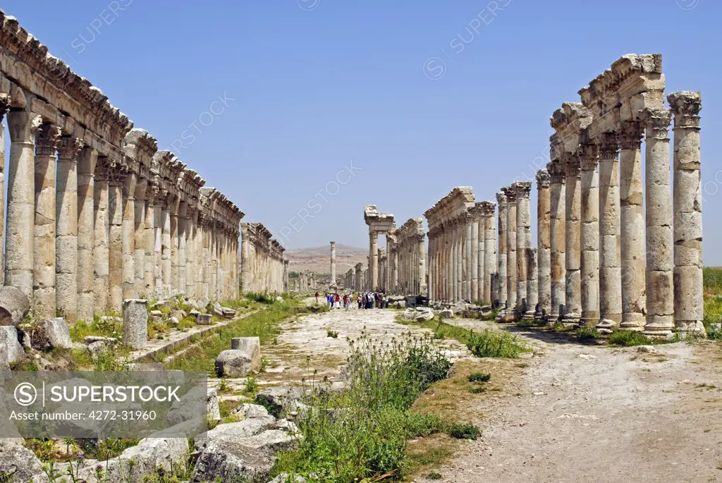Syria, Apamea. The Cardo maximus.