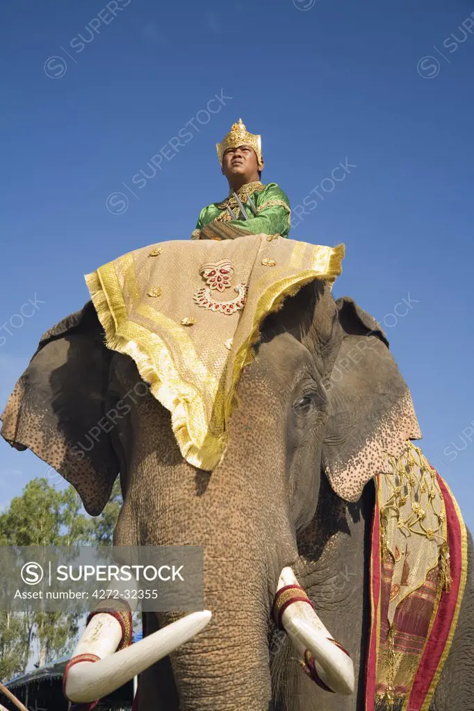 Thailand, Surin, Surin.  Suai mahout and his elephant in costume dress during the Surin Elephant Roundup festival.  The event held in November sees hundreds of elephants involved in a celebration of the region's elephant history and traditions.