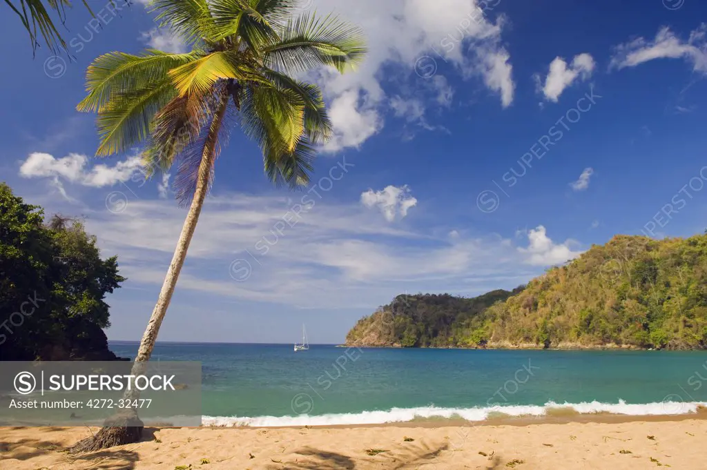 The Caribbean, Trinidad and Tobago, Tobago Island, Englishmans Bay