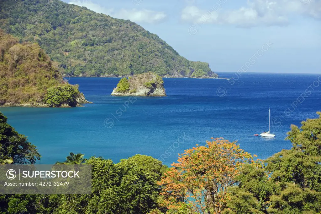 The Caribbean, Trinidad and Tobago, Tobago Island