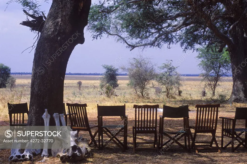 Tanzania, Katavi National Park.  Chairs for guests set out in the shade at Chada Camp.