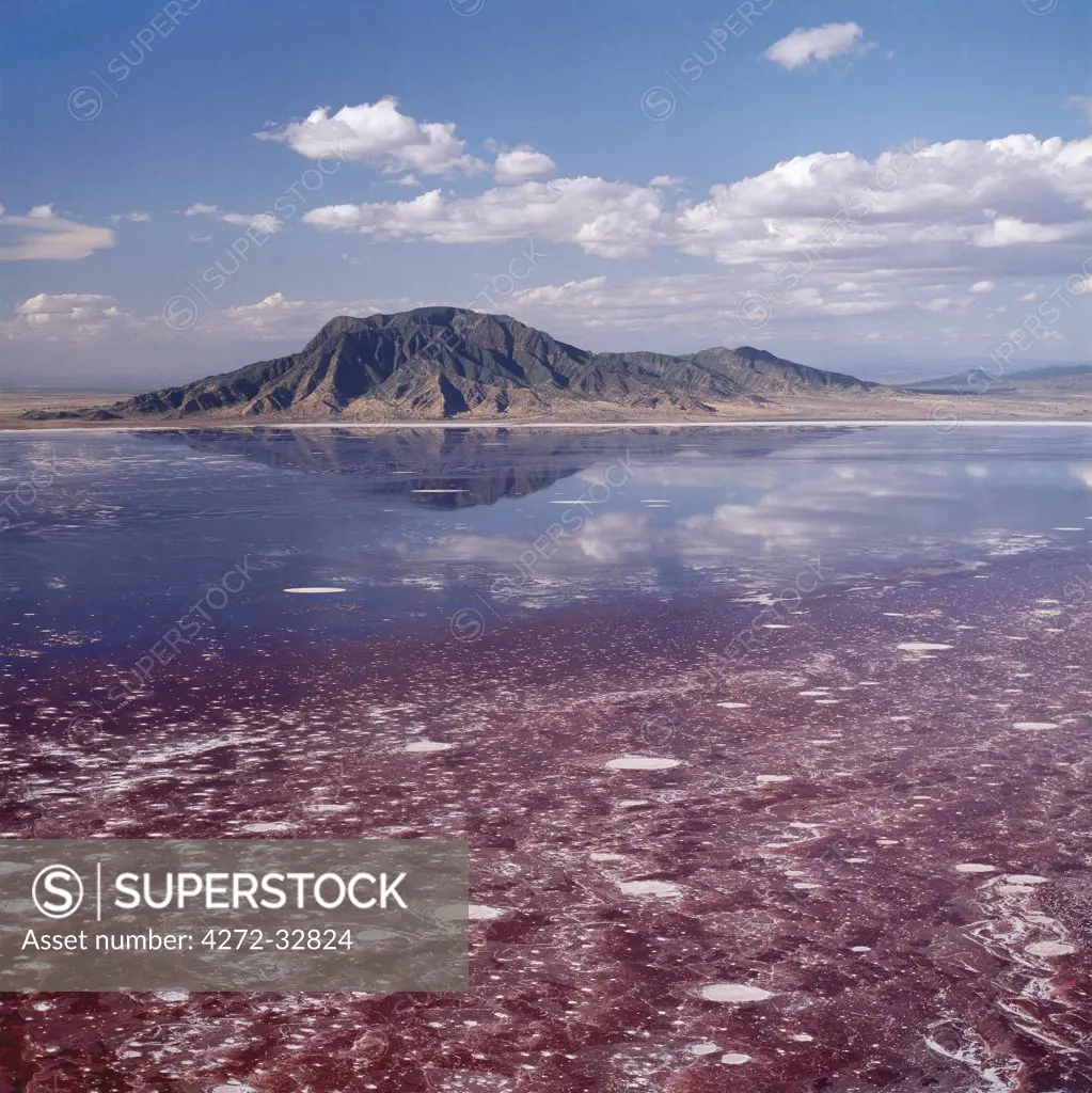 Lake Natron in northern Tanzania is one of the most alkaline of the Rift system. As its waters evaporate in the intense heat, sodium sesquicarbonate, known as trona or natron, solidifies to resemble giant coral heads in brightly coloured water.  Visible beyond the lake is Shompole volcano, a dormant volcano, situated on the border of Kenya and Tanzania.