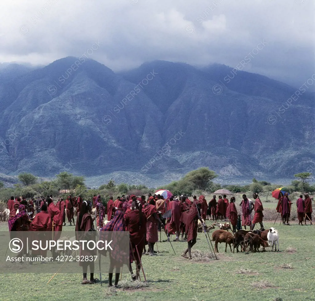 A colourful Maasai livestock market near the towering extinct volcano of Kerimasi.