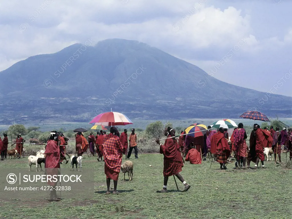 A Colourful Maasai livestock market near the towering extinct volcano of Kerimasi.