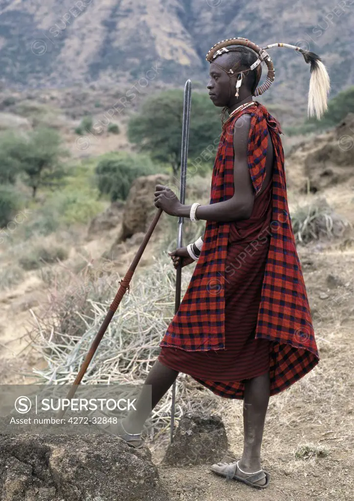 A Maasai warrior with his hair styled in a most unusual way.  His long braids have been  wrapped tightly in leather, decorated with beads and tied in an arch over his head.  A colobus monkey tail sets this singular hairstyle apart from the more traditional warrior styles.