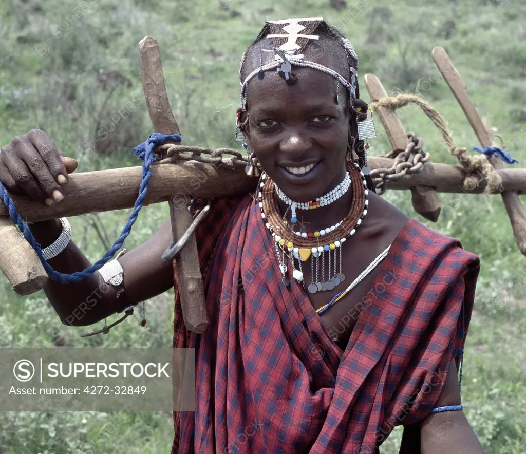 A Wa-Arusha warrior carries home a yoke.  His brown necklace is made from aromatic wood. The Wa-Arusha are closely related to the Maasai and speak the same _maa language.  Unlike the Maasai, however, they till the land. In the past, this has brought them into conflict with their pastoral neighbors who disdained cultivation.