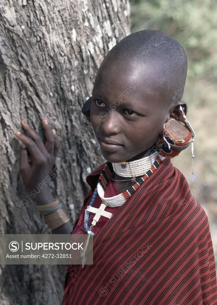 A Maasai girl in traditional attire.  Her earlobes have been cut; they are then gradually stretched over a period of years with larger and larger pieces of wood.  Although the practice is slowly dieing out, Maasai earlobes can sometimes reach down to a person's shoulders.