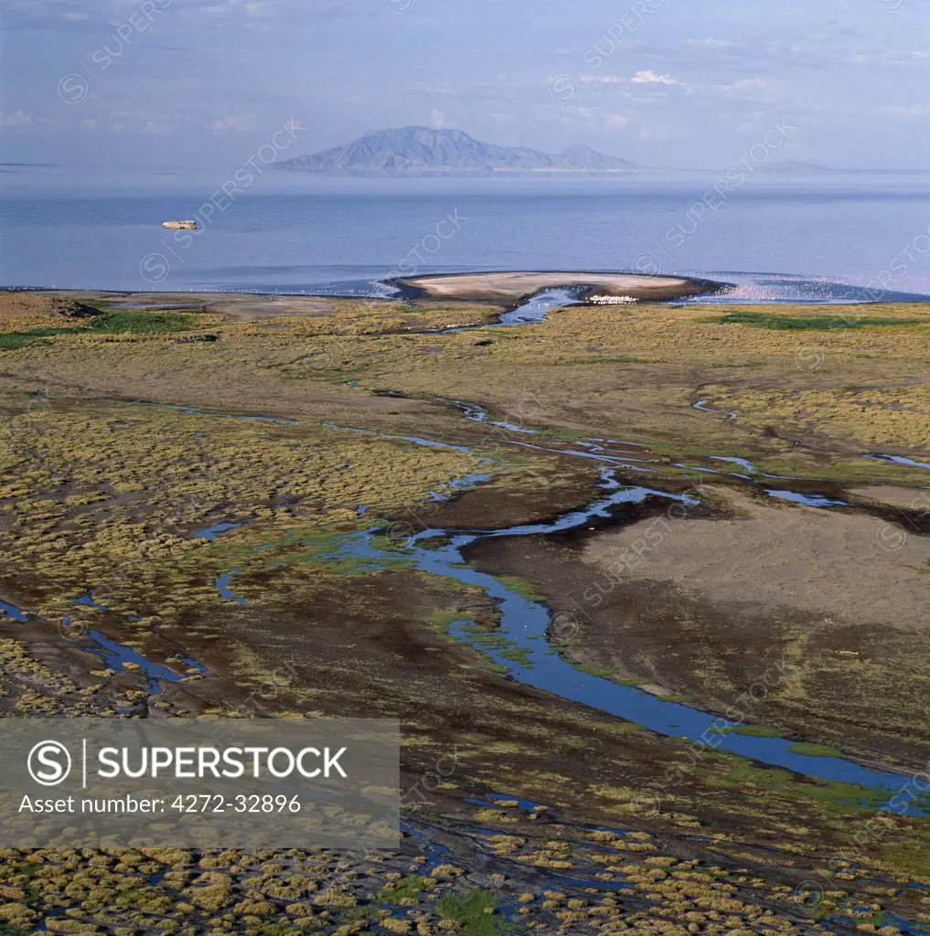Lake Natron bathed in late afternoon sun with Shompole volcano (situated on the border of Kenya and Tanzania) in the distance at the northern end of the lake.  ,Lake Natron is one of the most alkaline of the Rift system yet lesser flamingos breed there each year.