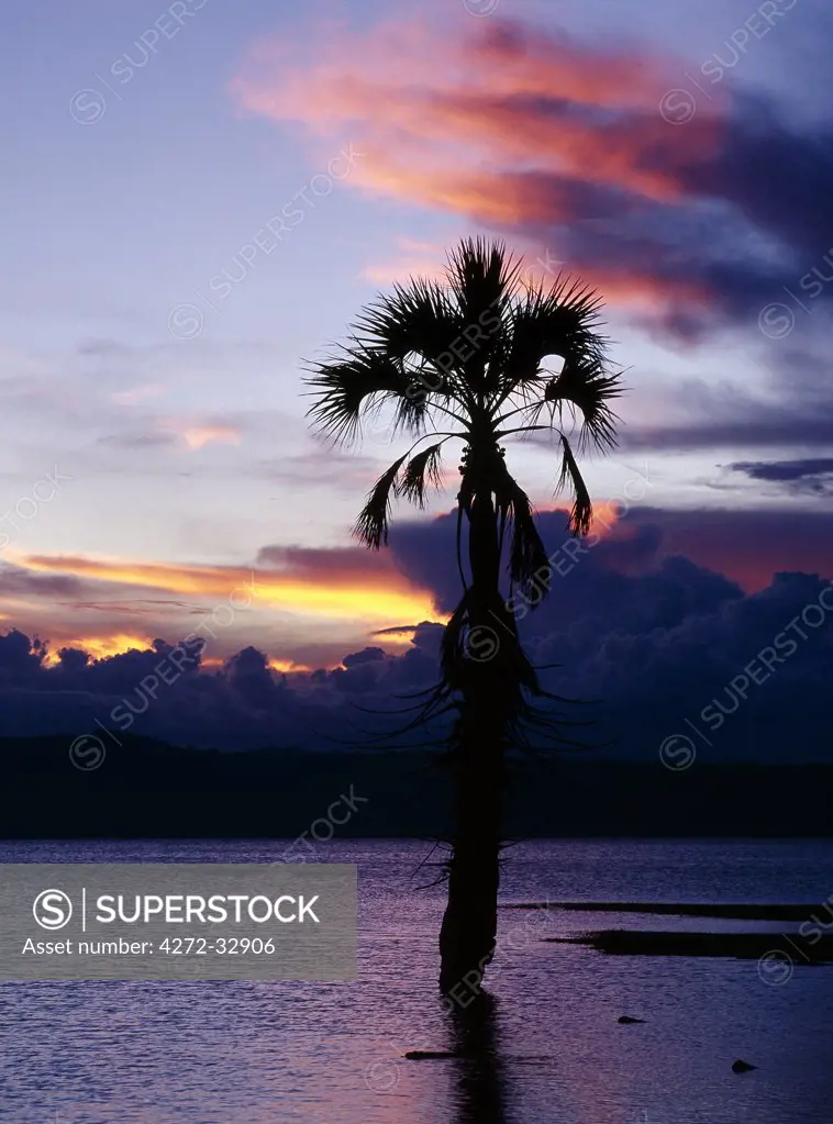 Sunset with a doum palm (Hyphaene coriacea) silhouetted in water at the northern end of the ephemeral alkaline lake, Eyasi, which lies in a false arm of the Great Rift Valley southeast of the Ngorongoro Highlands.