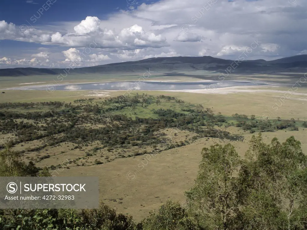 The world famous Ngorongoro Crater was declared a World Heritage Site in 1978.  Its 102-square-mile crater floor is spectacular for wildlife.    ,The crater is in fact a 'caldera' _ the largest unbroken, unflooded caldera in the world _ which was formed two and a half million years ago when a huge explosion destroyed the walls of a volcano standing about 15,000 feet high.