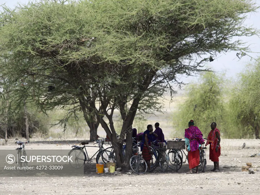 Maasai men park their bicycles under the shade of an acacia tree before going to a colourful open-air market in northern Tanzania.