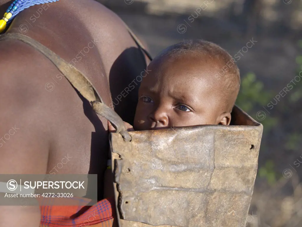 A Datoga baby is carried in a leather carrier on his mothers back  The traditional attire of Datoga women includes beautifully tanned and decorated leather dresses and coiled brass ornaments of every description. The Datoga live in northern Tanzania and are primarily
