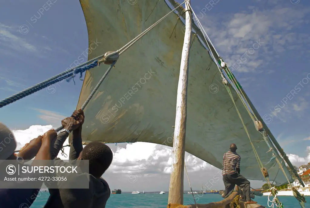 East Africa, Tanzania. Sailing an Arab dhow in Zanzibar. A dhow is a traditional Arab sailing vessel with one or more lateen sails. It is primarily used along the coasts of the Arabian Peninsula, India, and East Africa.