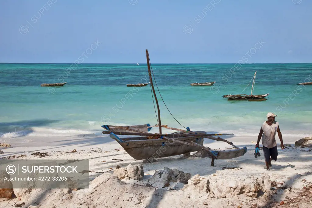 Tanzania, Zanzibar. The coconut palm-lined beach at Jambiani has one of the finest beaches in the southeast of Zanzibar Island.