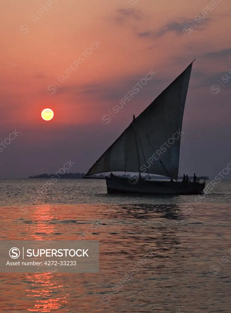 Tanzania, Zanzibar. A dhow sails back to Zanzibar harbour at sunset.
