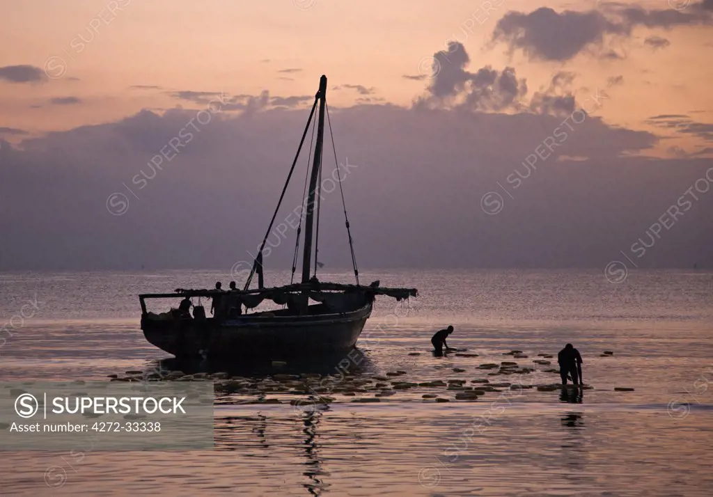 Off-loading a cargo of edible oil from a dhow from Zanzibar at dawn.