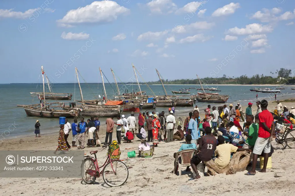 The busy harbour at Bagamoyo where fishermen land their catches and motorised dhows from Zanzibar off-load merchandise.