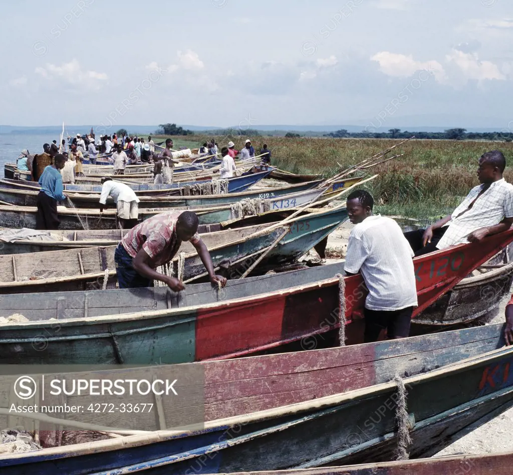 Wooden fishing boats line the eastern shore of Lake Edward at Rwenshama, an important fishing village close to the Queen Elizabeth National Park. After fishing all night, the men repair nets and attend to their boats. Lake Edward, 2,995 feet above sea level, lies on the floor of the western branch of Africa's Great Rift Valley system and is connected to Lake George by the Kazinga Channel.