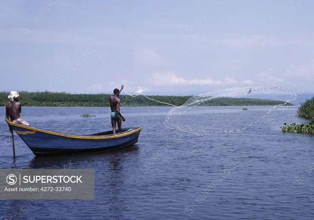 Weighted throwing nets are commonly used to catch fish in Uganda's freshwater lakes. Here a fisherman throws his net from the prow of a wooden boat at the northern end of Lake Albert where the lake waters join the White Nile.