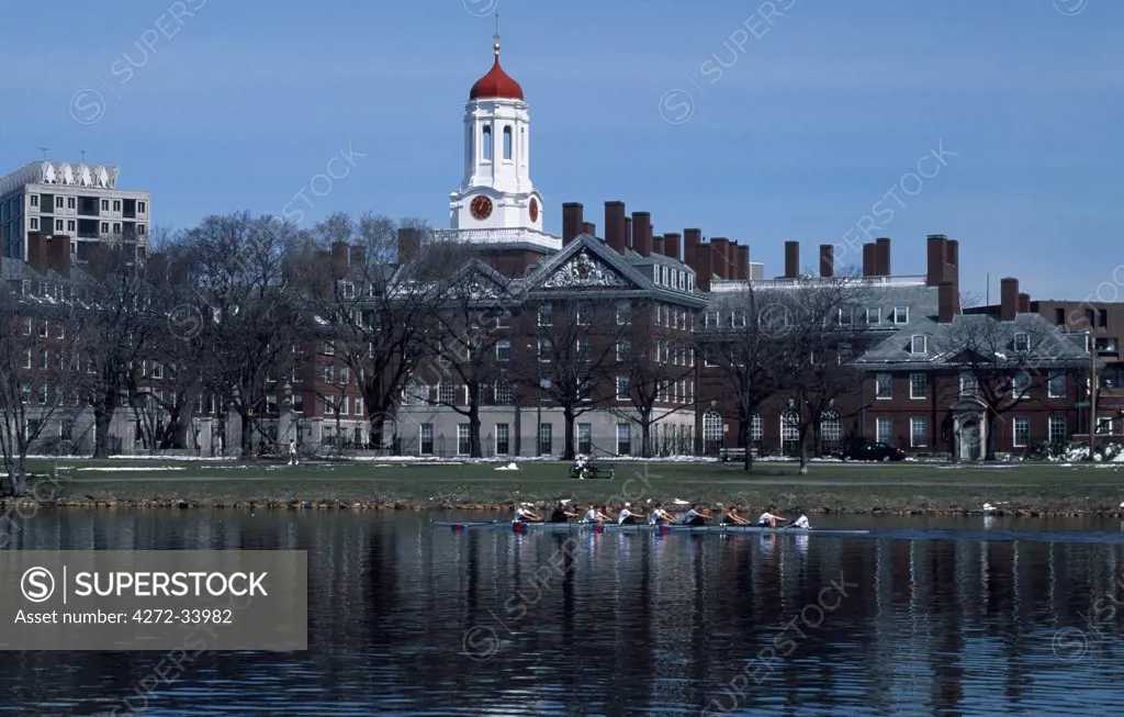 Rowers on Charles River with Harvard University Campus behind.