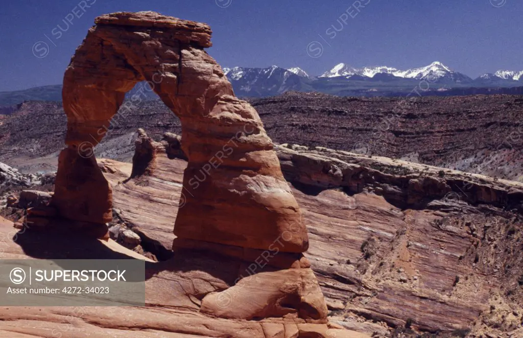 Delicate Arch with the La Sal Mountains