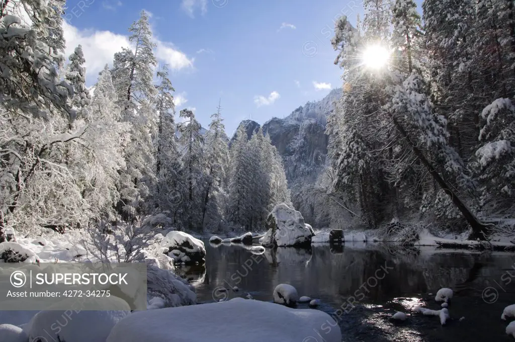 USA, California, Yosemite National Park. Fresh snow fall on the Merced River in Yosemite Valley.