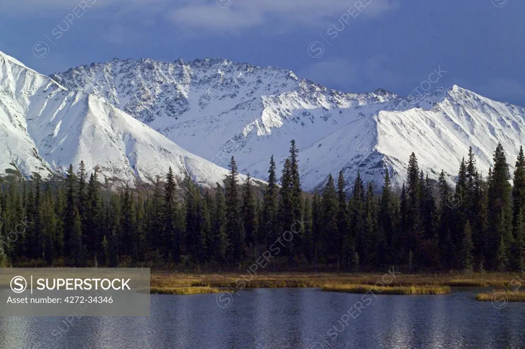 USA, Alaska. Unnamed Mountains in the Alaska Range. Part of the Talkeetna Mountains they are locally called the Craggies. The East Fork of the Chulitna River runs nearby. These mountains are about 22 miles south of Cantwell Alaska. On September 12th the first snow of the autumn fell on the mountains.