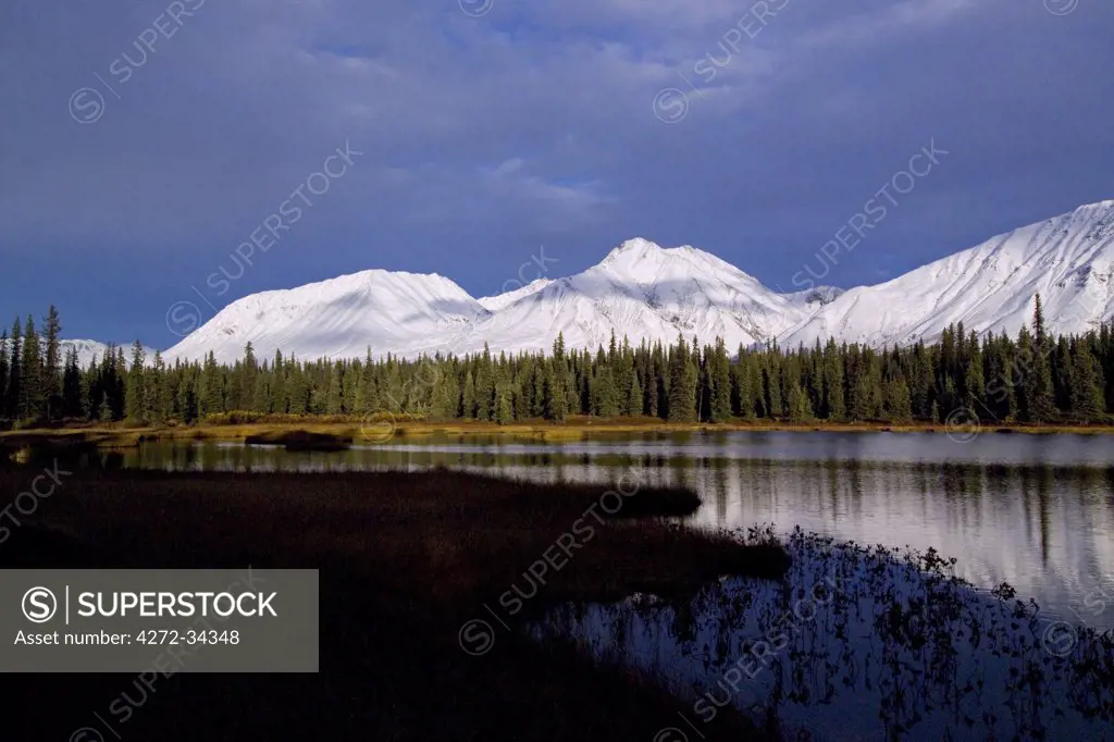 USA, Alaska. Unnamed Mountains in the Alaska Range. Part of the Talkeetna Mountains they are locally called the Craggies. The East Fork of the Chulitna River runs nearby. These mountains are about 22 miles south of Cantwell Alaska. On September 12th the first snow of the autumn fell on the mountains.